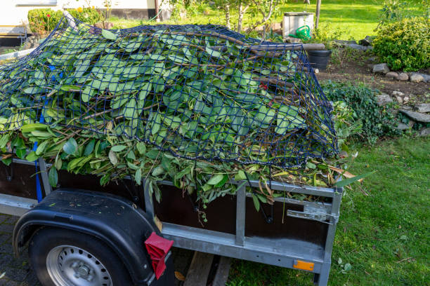 Best Attic Cleanout  in Fenton, MI
